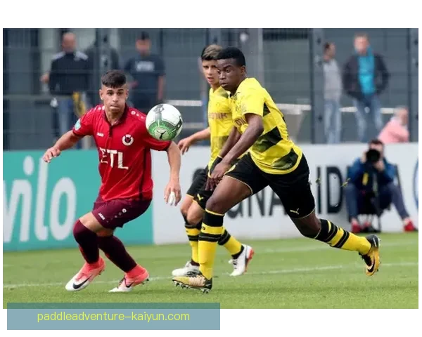 德甲球员转会动态分析，赛季引援策略值得关注